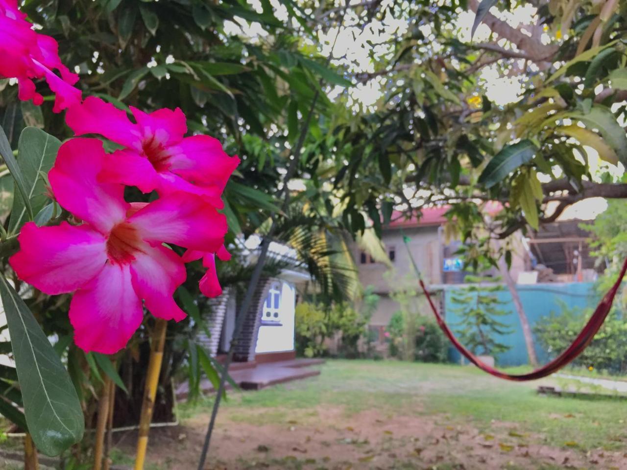 Cozy Cottage-Tangalle Zewnętrze zdjęcie